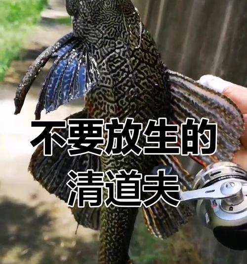 以清道夫（探索神秘生物世界，揭秘清道夫的恐怖魅力）