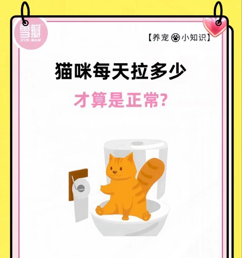 猫咪拉屎频率的正常范围及影响因素（探究猫咪拉屎频率的理想间隔时间和异常情况）