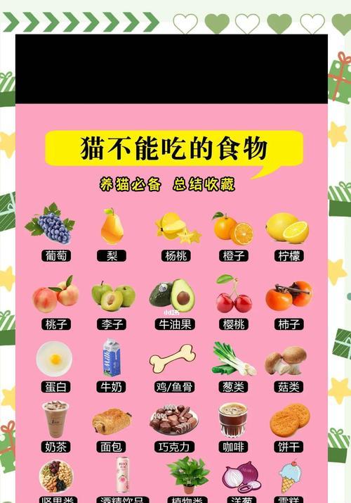 猫咪的消化食物速度（揭秘猫咪食物消化的奥秘）