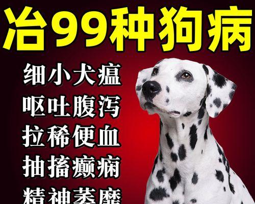 犬瘟病毒的致命速度（揭秘犬瘟，了解病毒的传播与致死时间）