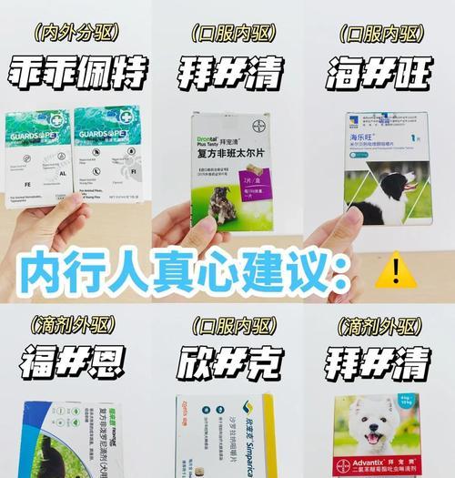 小狗驱虫后的饮食注意事项（养宠必知，驱虫后的小狗饮食需谨慎）