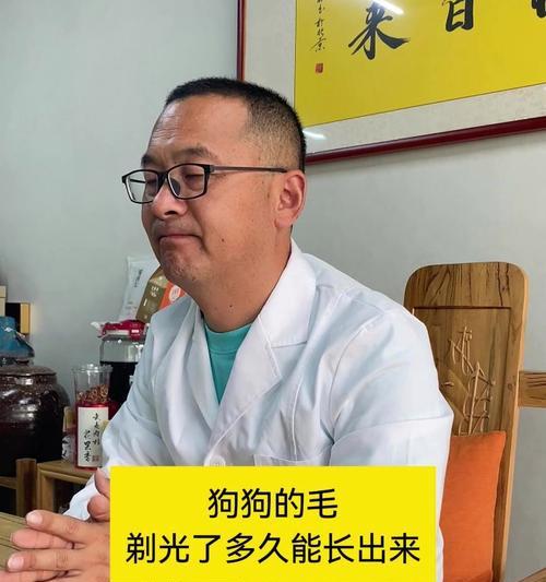 如何改善狗狗毛发问题（探寻有效的改善狗狗毛发的方法）
