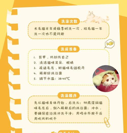 猫咪洗澡的频率与注意事项（了解猫咪洗澡的合理频率和正确方法，让它们保持干净和健康）