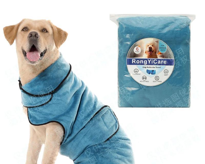 狗狗用品全解析——从食盆到玩具，一应俱全！（狗狗用品种类繁多，适合不同需求的宠物主人）