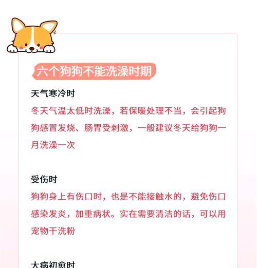 小狗洗澡的最佳时机及注意事项（刚出生的小狗多久可以洗澡？小狗洗澡的步骤和注意事项！）