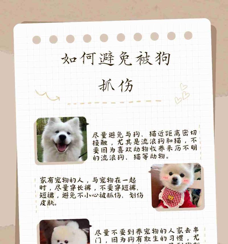 狗的皮外伤康复时间及护理指南（了解狗皮外伤的康复时间和正确的护理方法，帮助狗尽快恢复健康）