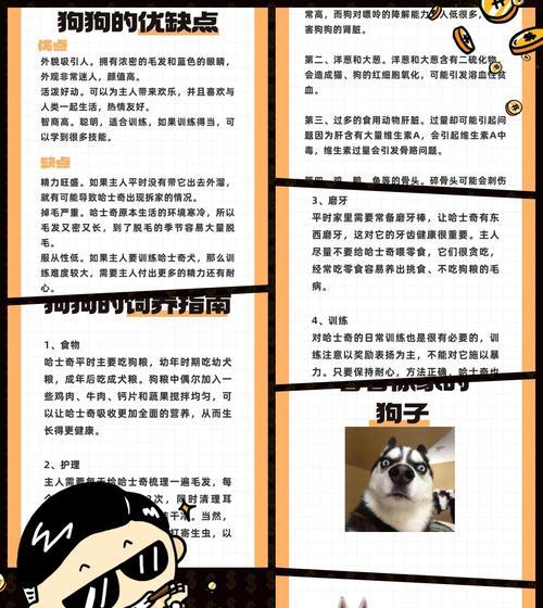 喂养哈士奇毛发变好的秘诀（探索饮食和清洁，让您的哈士奇拥有健康亮丽的毛发）