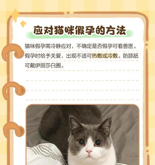 母猫怀孕症状解析（了解猫咪孕期的迹象，为健康孕育打下基础）
