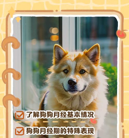 母狗的例假周期及管理（了解母狗例假周期，做好合理管理）