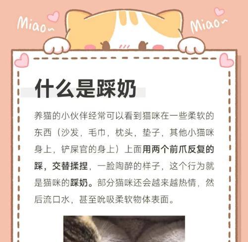 小猫为什么会用前爪在人身上不停地按？（解析小猫按摩行为的原因和目的）
