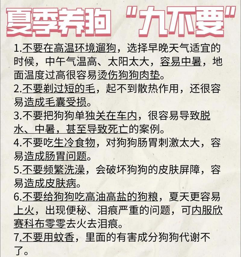 为什么狗狗不能养十年？（养狗需要考虑的因素及责任）