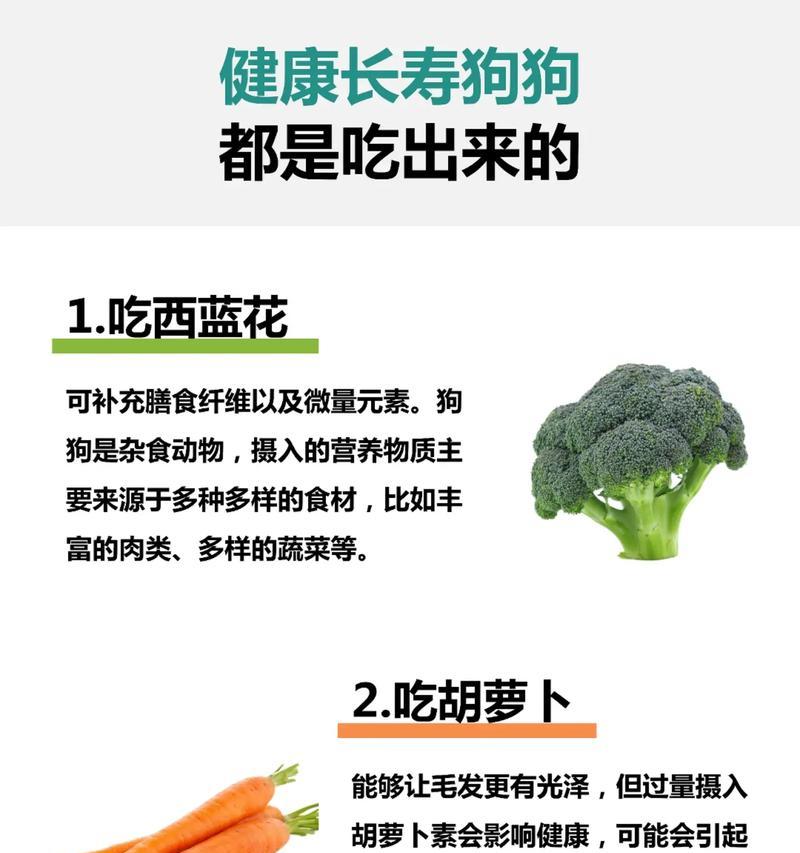 健康养宠指南（宠物养成关键阶段的重要指南及适合狗狗的食物推荐）
