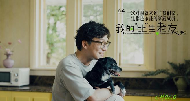 导盲犬们的绝招（揭秘导盲犬的神奇技能与训练秘籍）