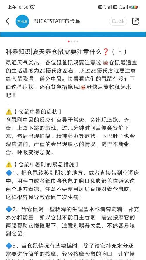 仓鼠的饮食乐园（满足仓鼠的味蕾，健康的选择）
