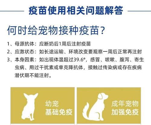 以犬四联疫苗的接种间隔及效果（了解犬四联疫苗接种频率，保护爱犬免受传染病侵袭）