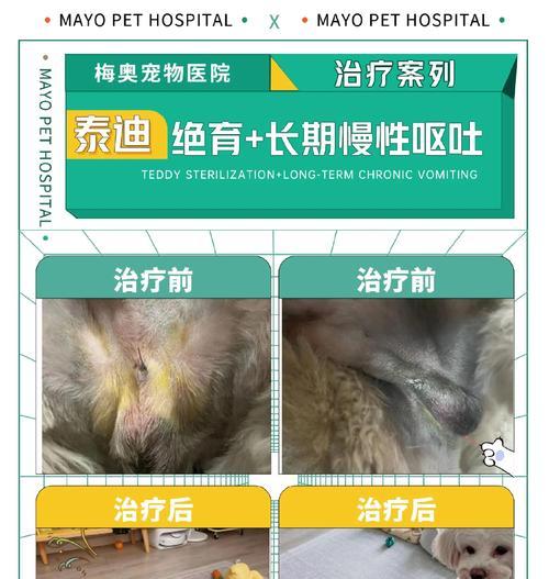 狗狗绝育后的恢复时间及注意事项（狗狗绝育术后恢复期的关键因素与护理方法）