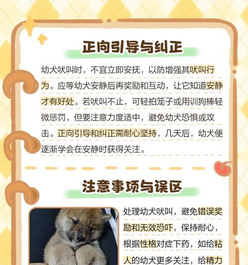 如何帮助小狗克服关笼子时的恐惧？（了解恐惧源，采取适当措施帮助小狗放松）