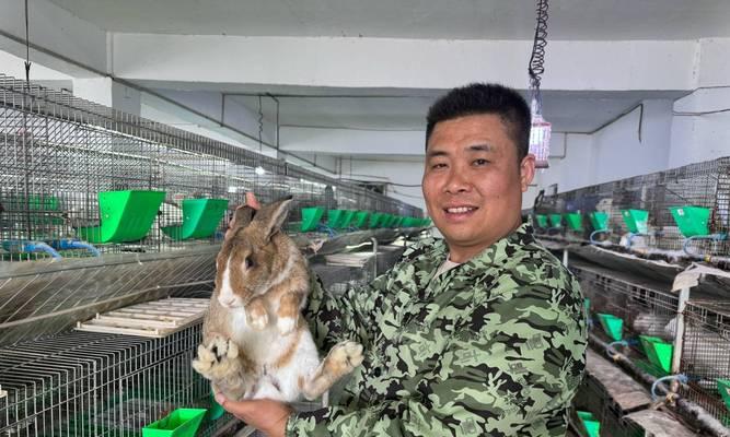 家兔养殖中流产的原因、预防与治疗（揭秘家兔流产的危害与措施）