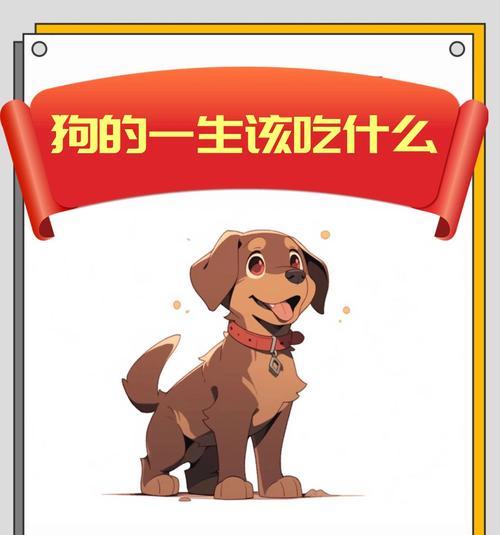 狗狗的怀孕周期和正确喂食方法（了解狗狗的生理周期和饮食需求，促进健康怀孕）