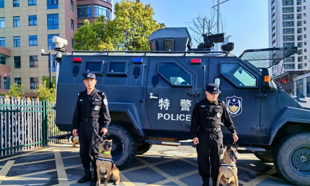 以军犬基地（探秘以军犬基地，了解其训练与保护工作）
