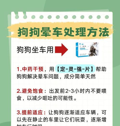 如何预防狗狗晕车的情况？（通过训练提前让狗适应长途旅行）