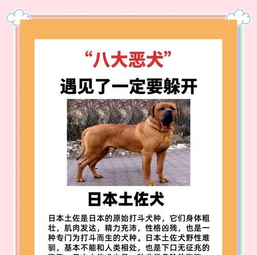 逃离恶犬的迅捷生存术（赶紧逃，恶犬之下无安全）