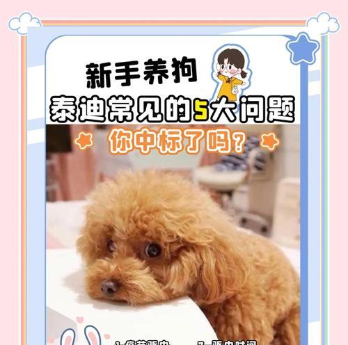 泰迪幼犬打完育苗多久能洗澡？（泰迪幼犬育苗后洗澡的时间与注意事项）