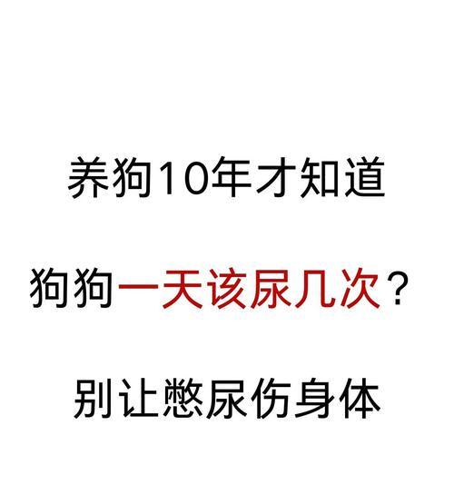 萨摩耶憋尿能力之研究（探索萨摩耶生理特征与憋尿时间的关系，帮助主人合理安排遛狗计划）
