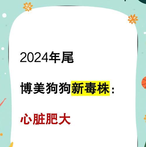 博美流血后的康复与配狗（宠物博美受伤后的恢复期与配狗建议）