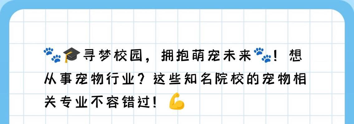 宠物护理与健康