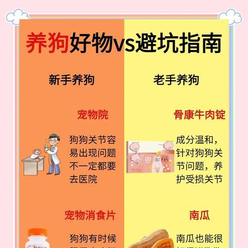 为什么女生不能养比熊？（探讨女生养比熊可能面临的挑战和困难）