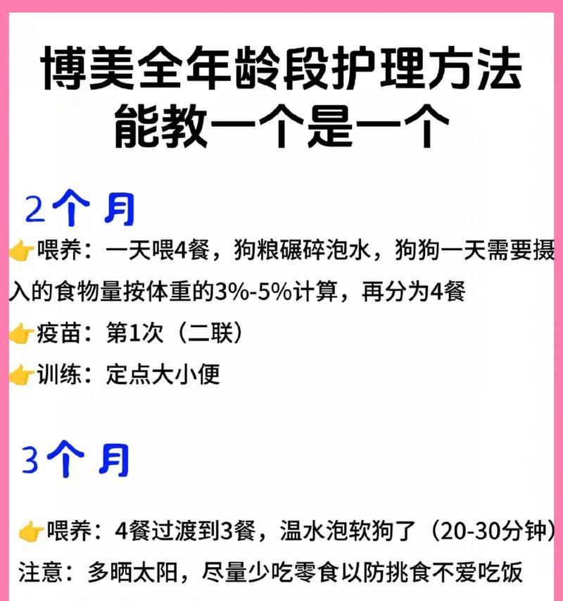 如何正确挤压博美的肛门腺（学会挤压肛门腺，让博美更健康）