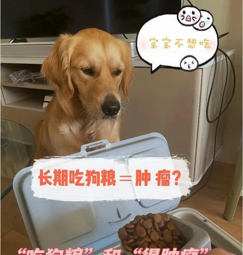为什么按颗喂狗粮会流行起来？（揭秘按颗喂狗粮的益处与原因）