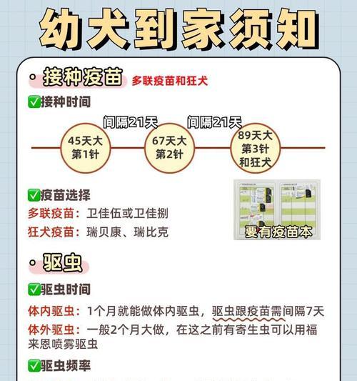 狗到家后多久打疫苗？（疫苗接种时间与犬宠健康的关系）