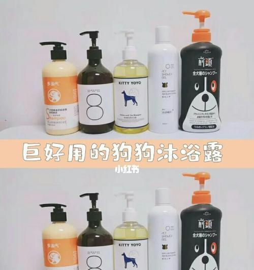 狗狗埋了多久会臭？（揭秘狗狗尸体腐烂过程及解决方法）