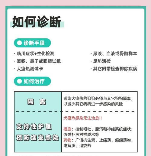 了解犬瘟热（全面掌握犬瘟热的临床表现、有效的治疗方法和预防策略）