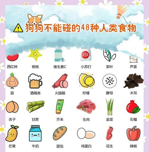 养狗必读（保护你的宠物健康，远离这些食物的诱惑）