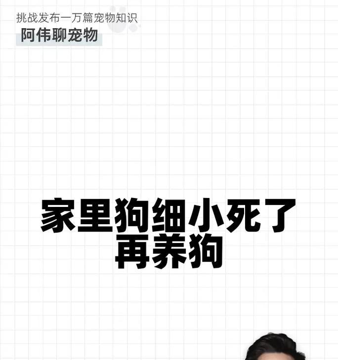 狗狗去世后多久才能再次养狗？（遵循适当的悼念期，重新迎接新的狗狗家庭成员）