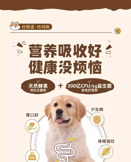 以4kg狗粮够小狗吃多久？（计算小狗食量的关键因素和喂养建议）