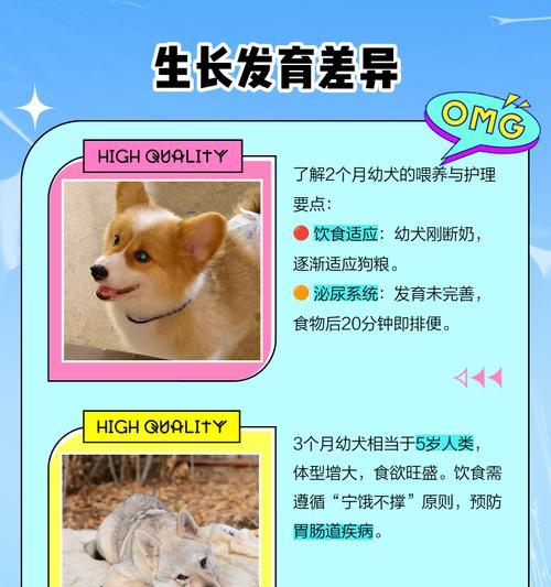 小狗喂养指南（全面指导新手主人为幼犬提供适当的饮食和护理）