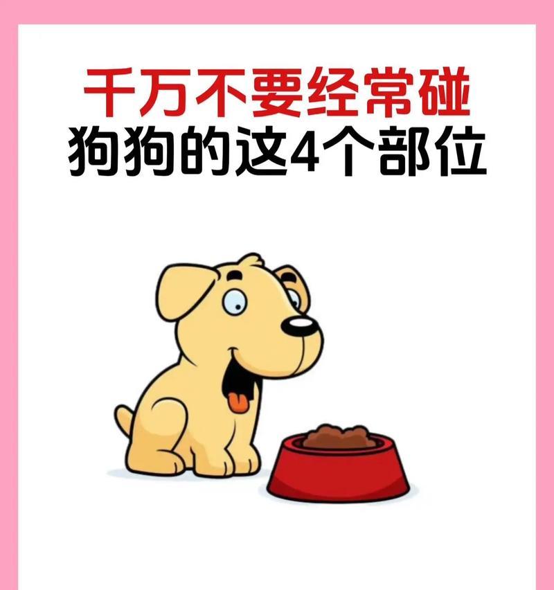 如何减少家中养狗带来的异味（四个方法让你的家恢复清新舒适）
