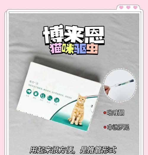 养猫经验（了解猫咪驱虫所需费用及注意事项）