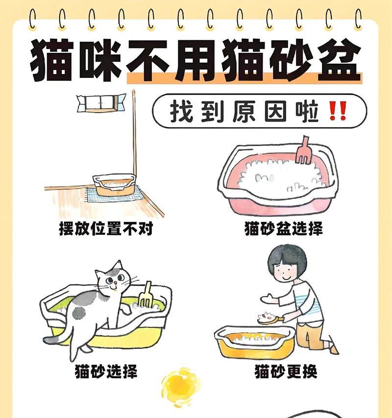 小猫咪的排便频率及其影响因素（了解小猫咪的排便规律，保持其健康）