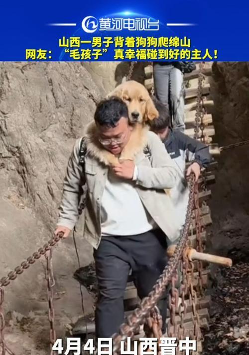 山西有趣的宠物友好景点（带狗游山西，畅享亲子时光）
