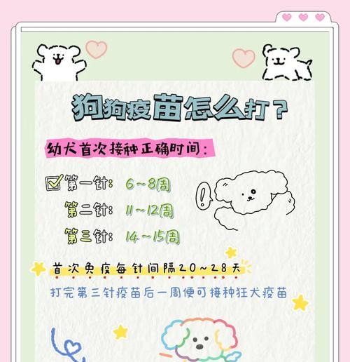 狗狗打疫苗的时间间隔及注意事项（了解狗狗疫苗接种的时间表，保护它们的健康）
