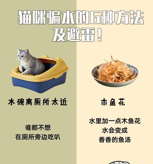 猫喝水多久换一次合适？（养猫人必知的水换频要诀）