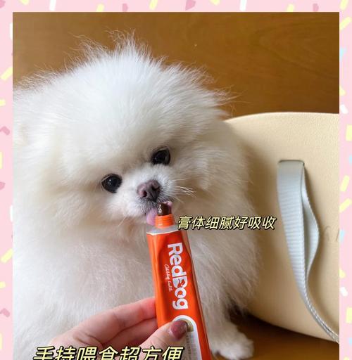狗营养膏（探究狗营养膏的最佳食用时长及效果）