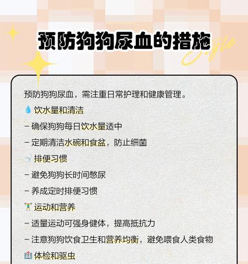 公狗狗尿道口滴血的原因及处理方法（了解为何公狗狗尿道口会出血，以及如何有效处理此问题）