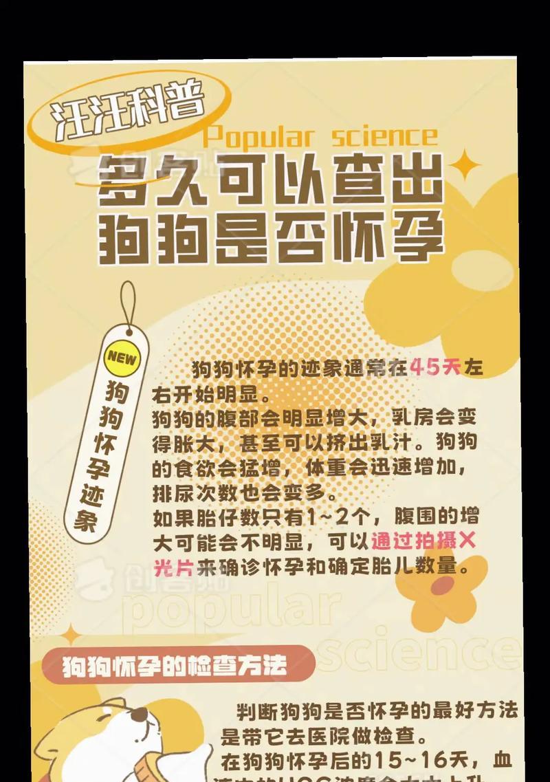 狗生孩子需要多长时间？（探索狗的妊娠周期和分娩过程）