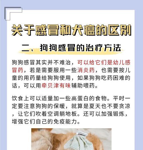 狗瘟后的适时养狗（狗瘟痊愈后何时迎接新的毛茸伙伴？）